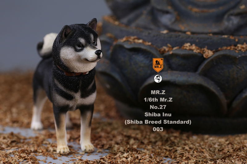 Mr.Z 1/6 Scale Animal Model: Japanese Shiba Inu 003 image 11