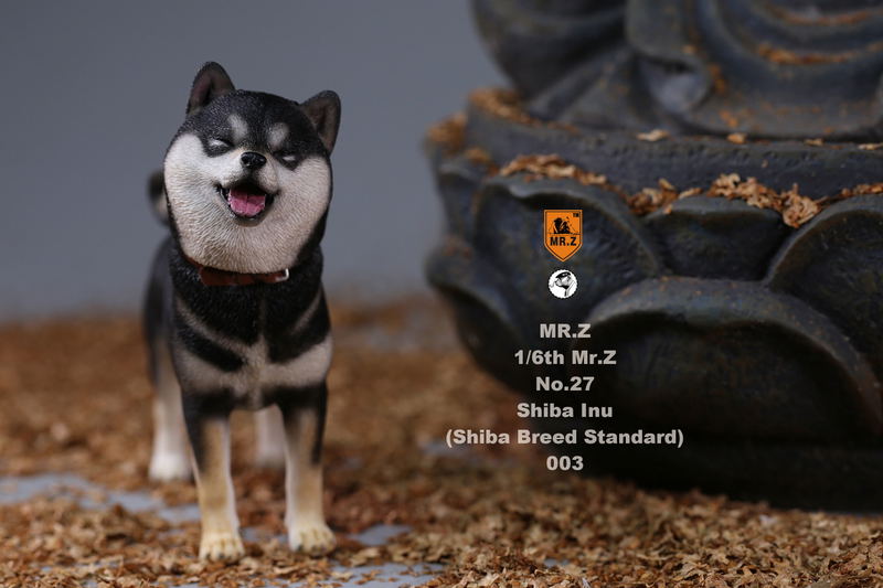 Mr.Z 1/6 Scale Animal Model: Japanese Shiba Inu 003 image 12