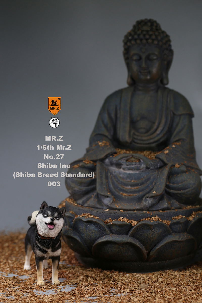 Mr.Z 1/6 Scale Animal Model: Japanese Shiba Inu 003 image 13