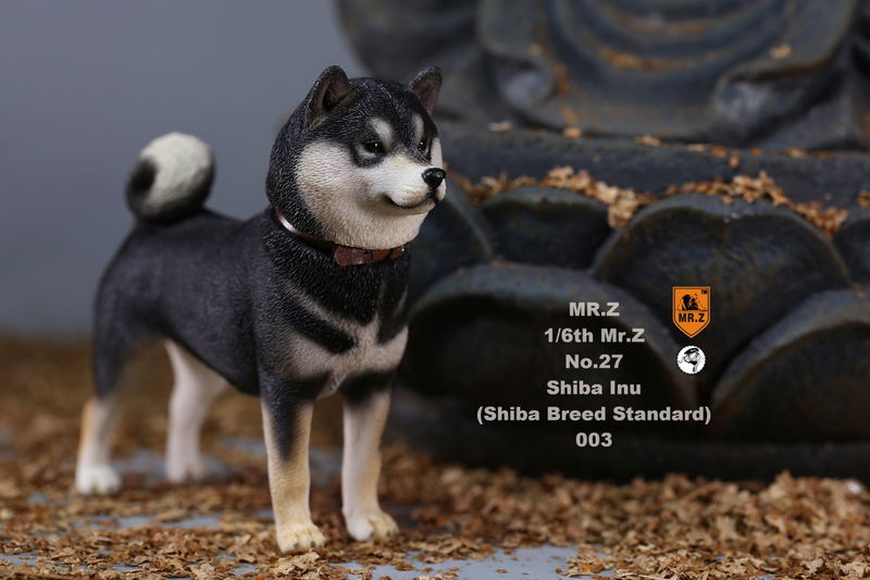 Mr.Z 1/6 Scale Animal Model: Japanese Shiba Inu 003 image 14