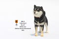 Mr.Z 1/6 Scale Animal Model: Japanese Shiba Inu 003 thumbnail 2