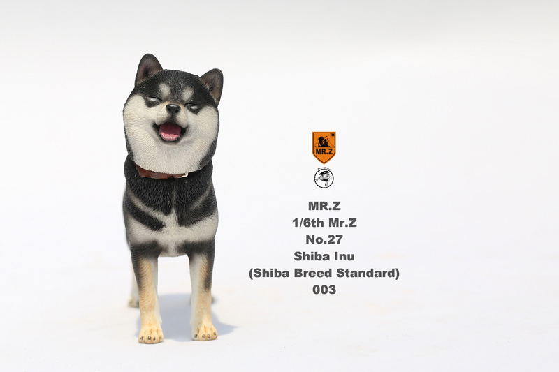 Mr.Z 1/6 Scale Animal Model: Japanese Shiba Inu 003 image 5