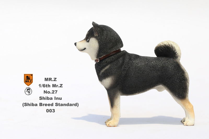 Mr.Z 1/6 Scale Animal Model: Japanese Shiba Inu 003 image 6