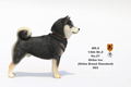Mr.Z 1/6 Scale Animal Model: Japanese Shiba Inu 003 thumbnail 7