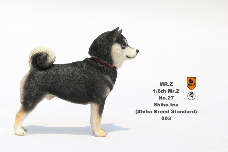 Mr.Z 1/6 Scale Animal Model: Japanese Shiba Inu 003 image 7