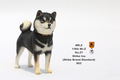 Mr.Z 1/6 Scale Animal Model: Japanese Shiba Inu 003 thumbnail 8