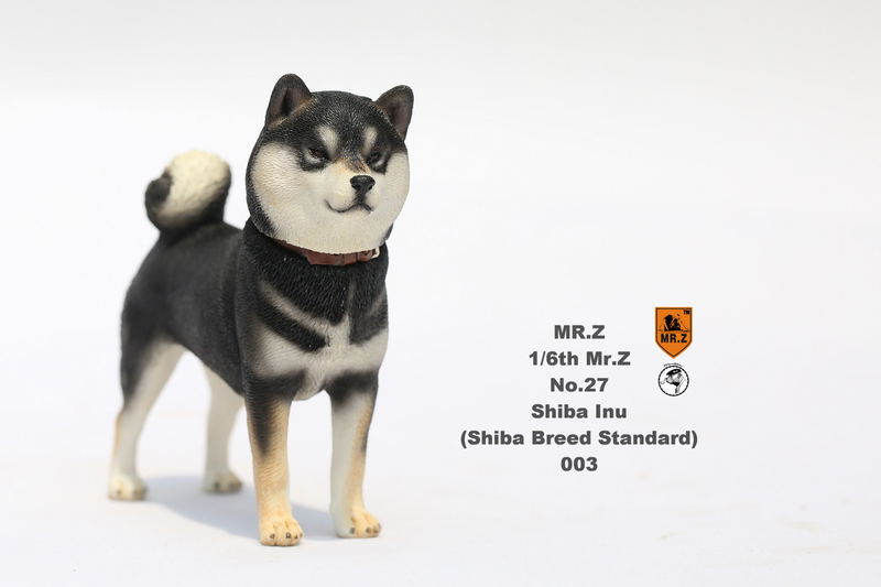 Mr.Z 1/6 Scale Animal Model: Japanese Shiba Inu 003 image 8