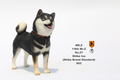 Mr.Z 1/6 Scale Animal Model: Japanese Shiba Inu 003 thumbnail 9
