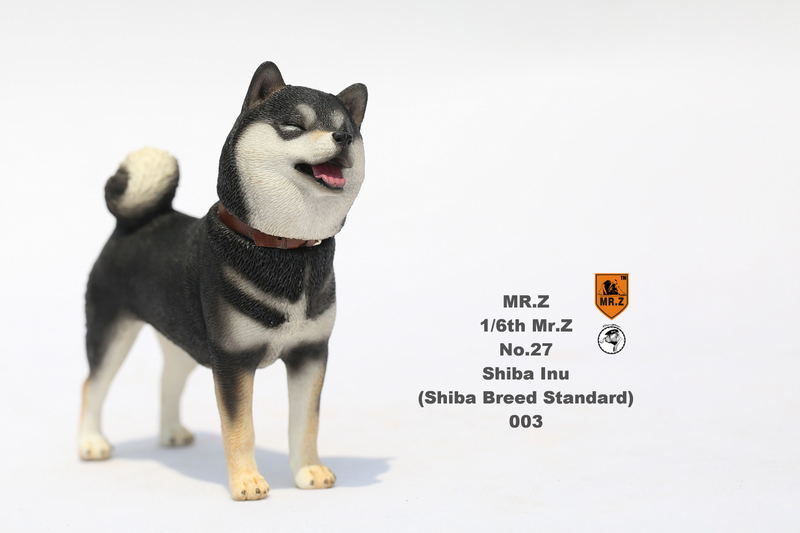 Mr.Z 1/6 Scale Animal Model: Japanese Shiba Inu 003 image 9