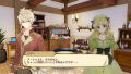 Nelke to Densetsu no Renkinjutsushi Tachi ~ Aratana Daichi no Atelier ~ (20th Anniversary Box) [Limited Edition] thumbnail 16