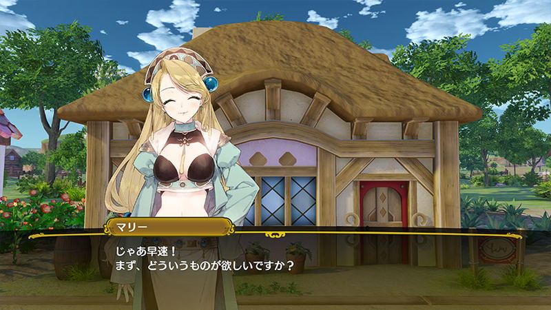 Nelke & the Legendary Alchemists: Ateliers of the New World image 11