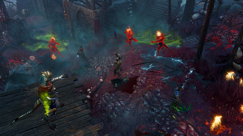 Divinity: Original Sin II [Definitive Edition] image 14