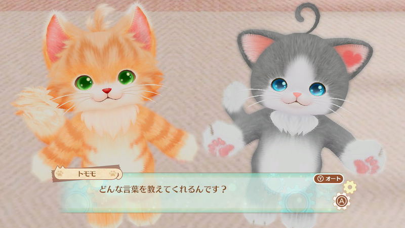Neko Tomo image 2