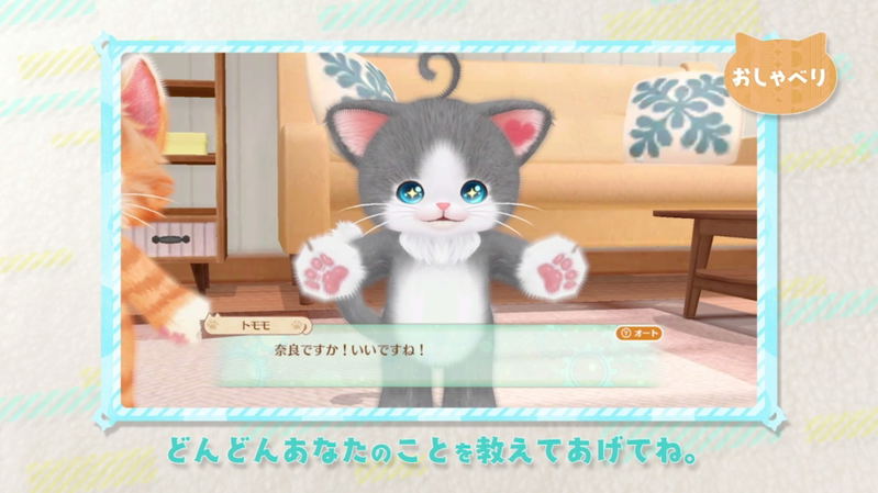 Neko Tomo image 11