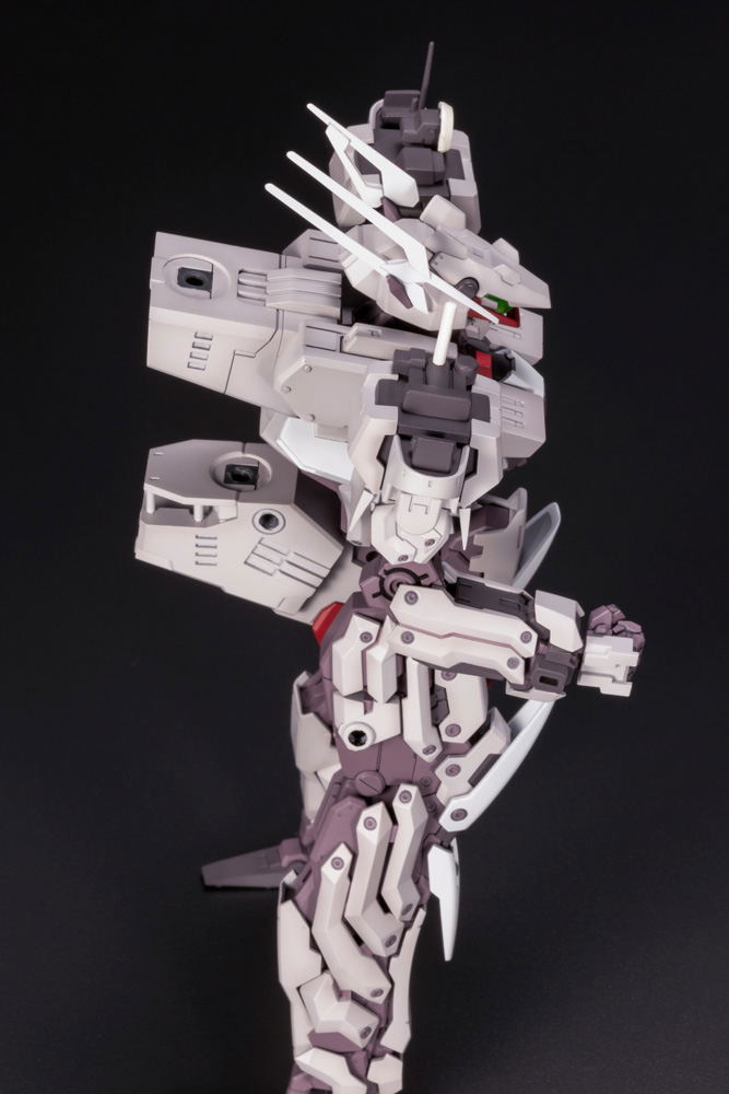 Frame Arms 1/100 Scale Model Kit: Kongo image 8