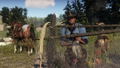Red Dead Redemption 2 [Ultimate Edition] (Multi-Language) thumbnail 12