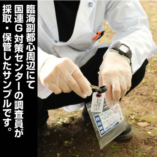 Godzilla Skin Ring (M Size) image 3