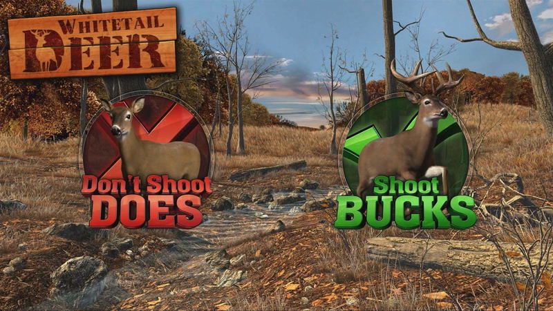 Big Buck Hunter Arcade image 12