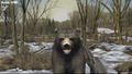 Big Buck Hunter Arcade thumbnail 5