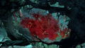 Death end re;Quest thumbnail 14