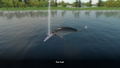 Rapala Fishing Pro Series thumbnail 5