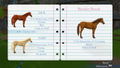 My Riding Stables: Life with Horses thumbnail 5