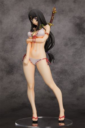 Queen's Blade Beautiful Fighters 1/6 Scale Pre-Painted Figure: Warrior Priestess Tomoe