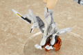 Busou Shinki: Ann -Image Model- thumbnail 11