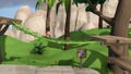 Paw Patrol On A Roll thumbnail 7