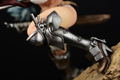 Fairy Tail 1/6 Scale Pre-Painted Figure: Erza Scarlet The Knight Ver. thumbnail 12