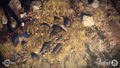 Fallout 76 <span class="ext ext_Official Website">Official Website</span> <span class="ext ext_digital">digital</span> thumbnail 13
