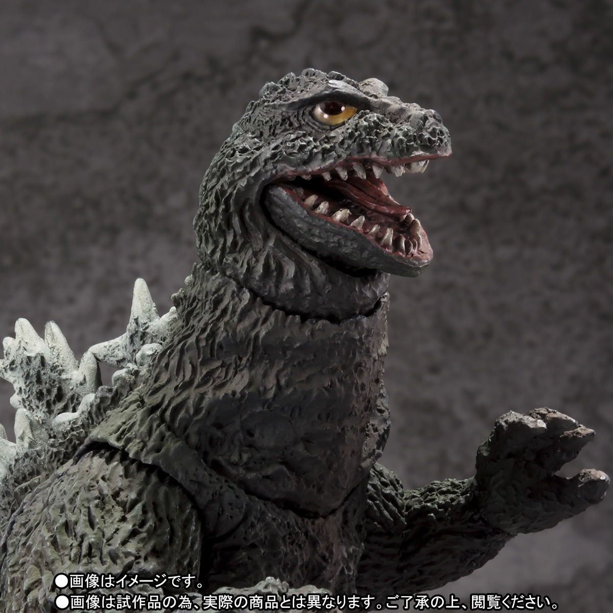 S.H.MonsterArts King Kong vs. Godzilla: Godzilla (1962)