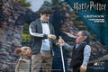 Star Ace Toys My Favorite Movie Series Harry Potter and the Deathly Hallows 1/6 Collectible Action Figure: Griphook thumbnail 6
