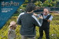 Star Ace Toys My Favorite Movie Series Harry Potter and the Deathly Hallows 1/6 Collectible Action Figure: Griphook thumbnail 7