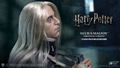 Star Ace Toys My Favorite Movie Series  Harry Potter and the Order of the Phoenix 1/6 Collectible Action Figure: Lucius Malfoy Prisoner Costume Ver. thumbnail 7