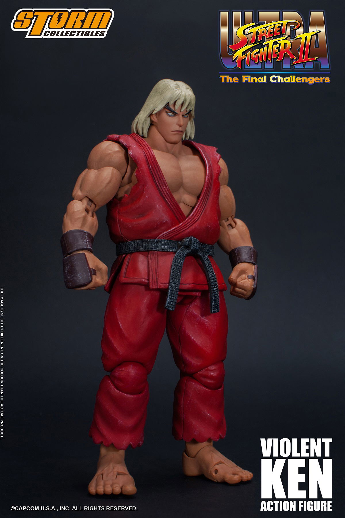 Ultra Street Fighter II The Final Challengers Pre-Painted Action