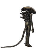 MAFEX Alien thumbnail 4