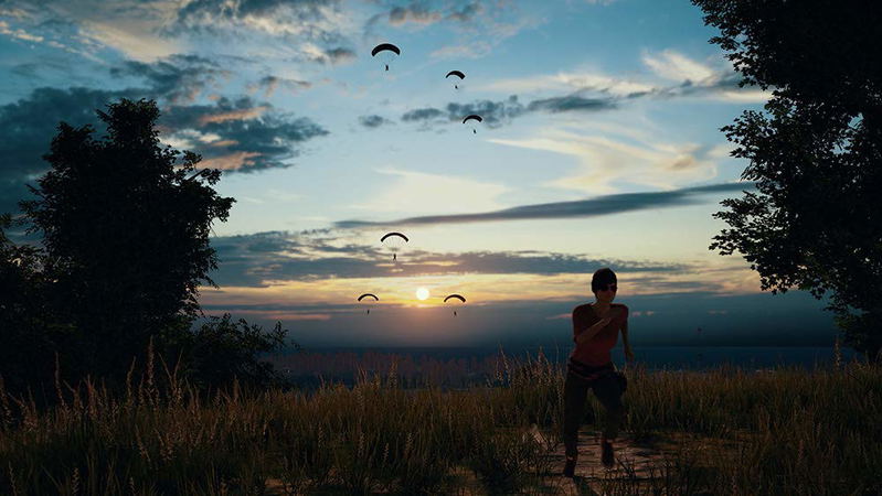 PlayerUnknown's Battlegrounds image 2