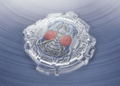 S.H.Figuarts Kamen Rider Blade: Kamen Rider Blade 20 Kamen Rider Kicks Ver. thumbnail 2