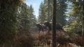 theHunter: Call of the Wild [2019 Edition] (DVD-ROM) thumbnail 11