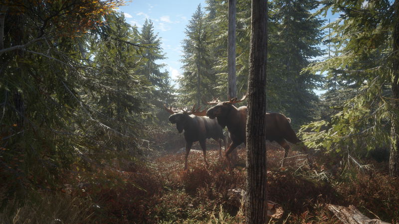 theHunter: Call of the Wild [2019 Edition] (DVD-ROM) image 11