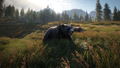 theHunter: Call of the Wild [2019 Edition] (DVD-ROM) thumbnail 12