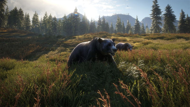theHunter: Call of the Wild [2019 Edition] (DVD-ROM) image 12