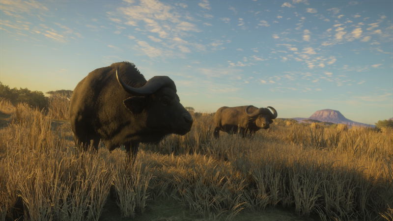 theHunter: Call of the Wild [2019 Edition] (DVD-ROM) image 13