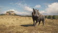 theHunter: Call of the Wild [2019 Edition] (DVD-ROM) thumbnail 14