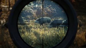 theHunter: Call of the Wild [2019 Edition] (DVD-ROM)