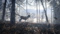 theHunter: Call of the Wild [2019 Edition] (DVD-ROM) thumbnail 3