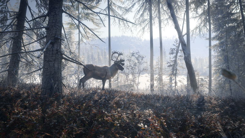 theHunter: Call of the Wild [2019 Edition] (DVD-ROM) image 3