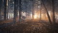 theHunter: Call of the Wild [2019 Edition] (DVD-ROM) thumbnail 5