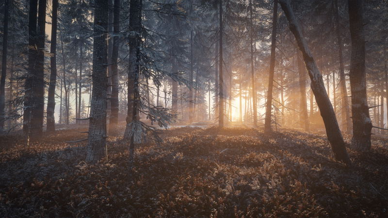 theHunter: Call of the Wild [2019 Edition] (DVD-ROM) image 5